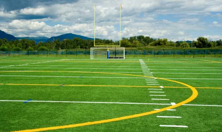 Artificial Turf